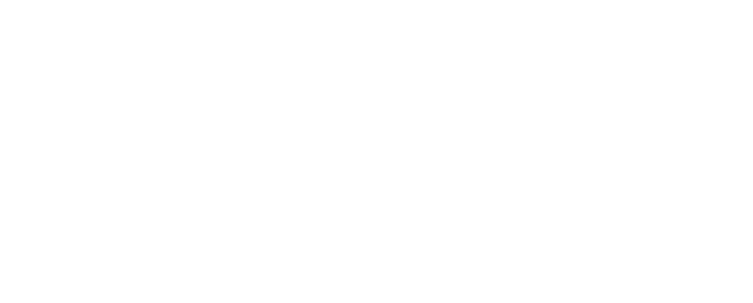 SSOA Logo